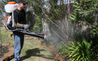 mosquito fogging outside event